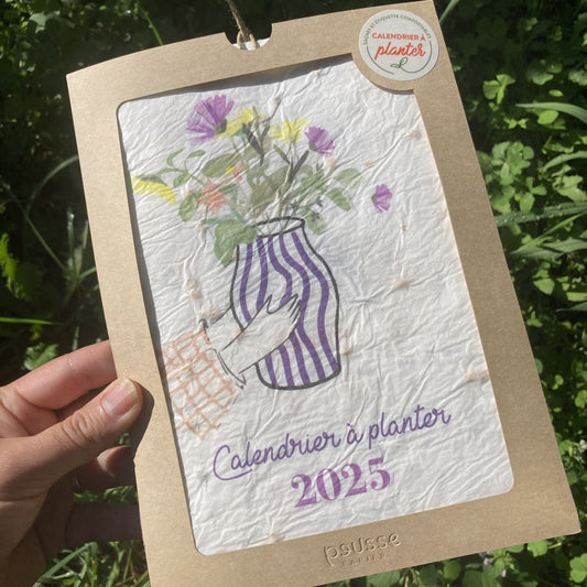 cadeau calendrier à planter