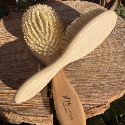 brosse en bois