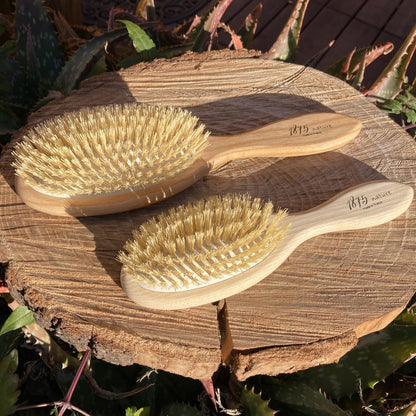 brosse en bois